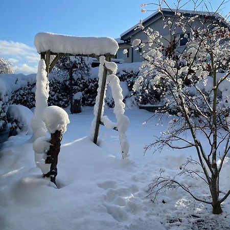 "Ferienhaus Am Mondsee" Mit Direktem Schafbergblick Im Salzkammergut Bei Salzburg المظهر الخارجي الصورة